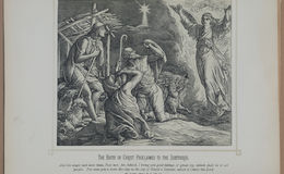 E245 - Bible Pictures 1890 - 1932