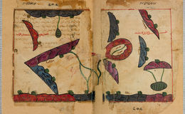 E242 - The Excursion of One Who Yearns to Penetrate the Horizons - i708709