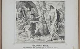 E245 - Bible Pictures 1890 - 1974