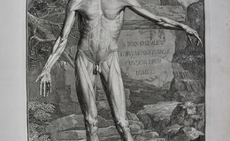 Bernhard Siegfried Albinus, 1696 - 1770, German anatomist