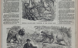 E258 - Punch's Almanac - 1842-1861 - i3224