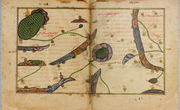 E242 - The Excursion of One Who Yearns to Penetrate the Horizons - i506507