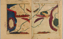 E242 - The Excursion of One Who Yearns to Penetrate the Horizons - i370371