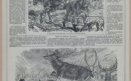 E258 - Punch's Almanac - 1842-1861 - i3293