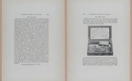 E262 - Antique Views of Ye Towne of Boston - 1882 - i3667 - 3668