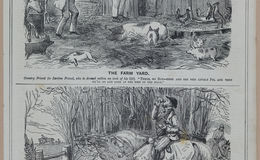 E258 - Punch's Almanac - 1842-1861 - i3194