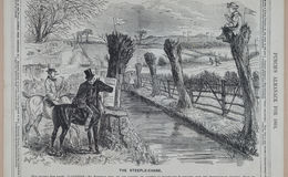 E258 - Punch's Almanac - 1842-1861 - i3213