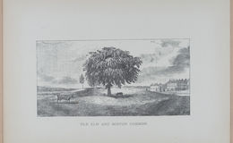 E262 - Antique Views of Ye Towne of Boston - 1882 - i3684