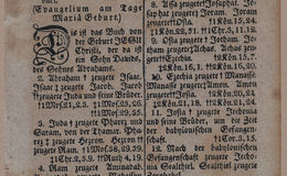 <p>E247 - Das Neue Testament - i2096</p>