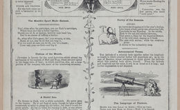 E258 - Punch's Almanac - 1842-1861 - i3135