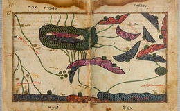 E242 - The Excursion of One Who Yearns to Penetrate the Horizons - i696697