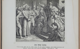 E245 - Bible Pictures 1890 - 1963