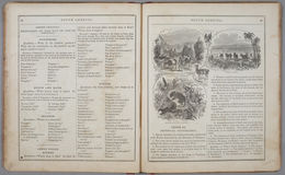 E206 - Modern School Geography - 1864 - 1067