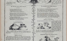 E258 - Punch's Almanac - 1842-1861 - i3127