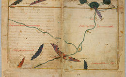 E242 - The Excursion of One Who Yearns to Penetrate the Horizons - i4041