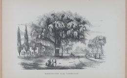 E262 - Antique Views of Ye Towne of Boston - 1882 - i3752