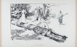  E252 - Sketches and Cartoons by Charles Dana Gibson, 1898 - 2712