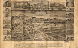 E65 - The Town of San Jacinto is in Great San Jacinto Valley San Diego Co Cal - 1886