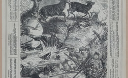 E258 - Punch's Almanac - 1842-1861 - i3292