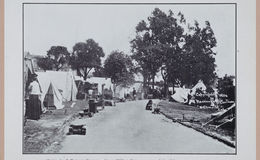 E256 - Ruins of San Francisco ,1906 - 2912