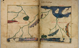 E242 - The Excursion of One Who Yearns to Penetrate the Horizons - i172173