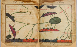 E242 - The Excursion of One Who Yearns to Penetrate the Horizons - i700701