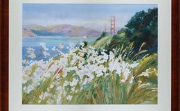 E205 - Jann Pollard - PH1464-65 - M6064